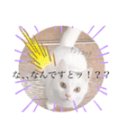 私による私の為だけの推しスタ（個別スタンプ：15）