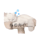 私による私の為だけの推しスタ（個別スタンプ：16）