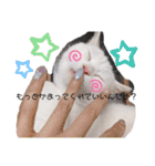 私による私の為だけの推しスタ（個別スタンプ：21）