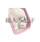 私による私の為だけの推しスタ（個別スタンプ：24）