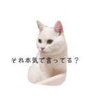 私による私の為だけの推しスタ（個別スタンプ：26）