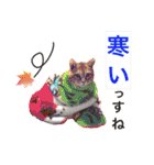 ねこねこニャンニャン（個別スタンプ：31）