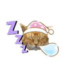 ねこねこニャンニャン（個別スタンプ：32）