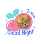 ねこねこニャンニャン（個別スタンプ：33）