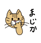 ねこねこニャンニャン（個別スタンプ：37）