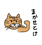 ねこねこニャンニャン（個別スタンプ：38）