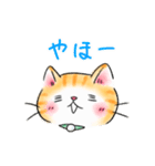 もえねこ ＆ ねこすけ（個別スタンプ：1）