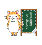 もえねこ メッセージスタンプ（個別スタンプ：1）