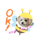 おはよ〜色々（個別スタンプ：1）
