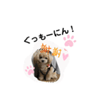 おはよ〜色々（個別スタンプ：13）