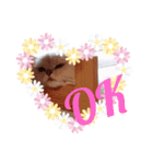 レオンLOVE3（個別スタンプ：2）