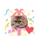 レオンLOVE3（個別スタンプ：8）