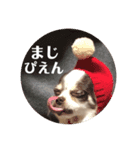 ぴえんぴえんぴえんっていうの（個別スタンプ：3）