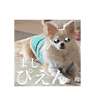 ぴえんぴえんぴえんっていうの（個別スタンプ：4）