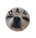 ぴえんぴえんぴえんっていうの（個別スタンプ：6）