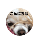 ぴえんぴえんぴえんっていうの（個別スタンプ：7）