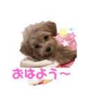 かわいいすずちゃんスタンプまるいち（個別スタンプ：1）
