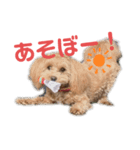 かわいいすずちゃんスタンプまるいち（個別スタンプ：4）