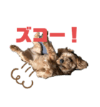 かわいいすずちゃんスタンプまるいち（個別スタンプ：6）