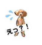かわいいすずちゃんスタンプまるいち（個別スタンプ：7）