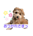 かわいいすずちゃんスタンプまるいち（個別スタンプ：8）