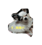 牛柄のくれあさん（個別スタンプ：5）