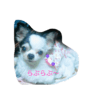 牛柄のくれあさん（個別スタンプ：8）