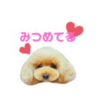 ぼくだよ〜（個別スタンプ：1）
