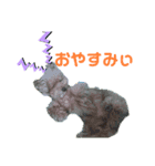 ぼくだよ〜（個別スタンプ：3）