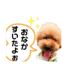 ぼくだよ〜（個別スタンプ：4）