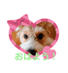 love☆ジャック4（個別スタンプ：1）