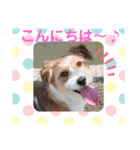 love☆ジャック4（個別スタンプ：6）