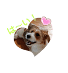 love☆ジャック4（個別スタンプ：8）