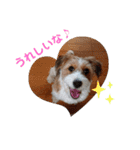 love☆ジャック4（個別スタンプ：11）