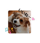 love☆ジャック4（個別スタンプ：12）