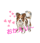 ちょったん（個別スタンプ：6）