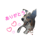 ちょったん（個別スタンプ：8）