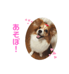 ちょったん（個別スタンプ：10）