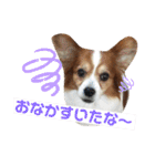 ちょったん（個別スタンプ：22）