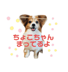 ちょったん（個別スタンプ：32）