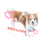 ちょったん（個別スタンプ：38）