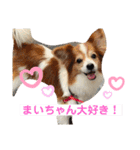 ちょったん（個別スタンプ：39）