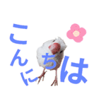 白文鳥の挨拶♡（個別スタンプ：5）