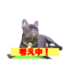 フレブルのデンです（個別スタンプ：4）