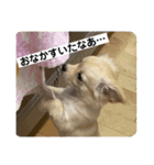 ♡ロイ＆ぷぅ♡（個別スタンプ：4）