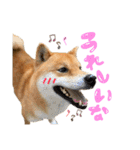 ごきげんラテポン（個別スタンプ：6）