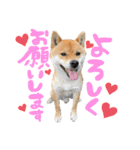 ごきげんラテポン（個別スタンプ：18）
