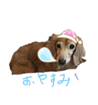 がっちゃんとももちゃんのスタンプ（個別スタンプ：1）
