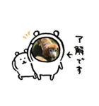 がっちゃんとももちゃんのスタンプ（個別スタンプ：8）
