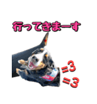 バーニーズマウンテンドッグのZIKIさん（個別スタンプ：7）
